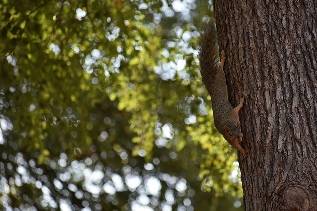 中充分发挥 中充分发挥