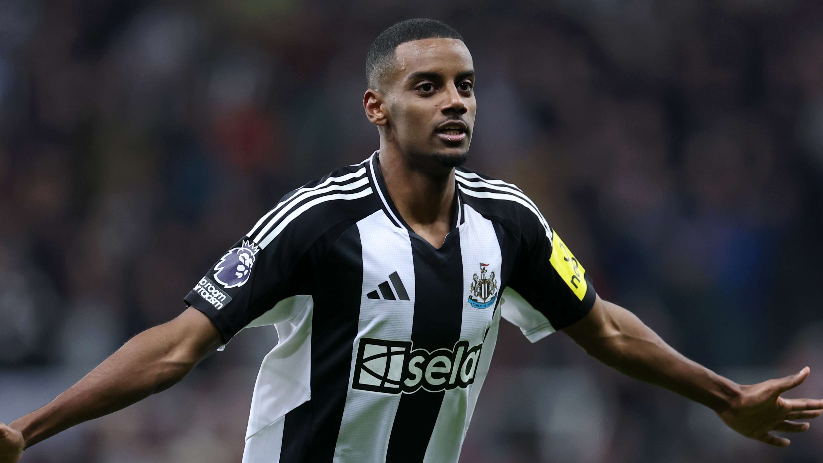 揚顯然不是 揚顯然不是