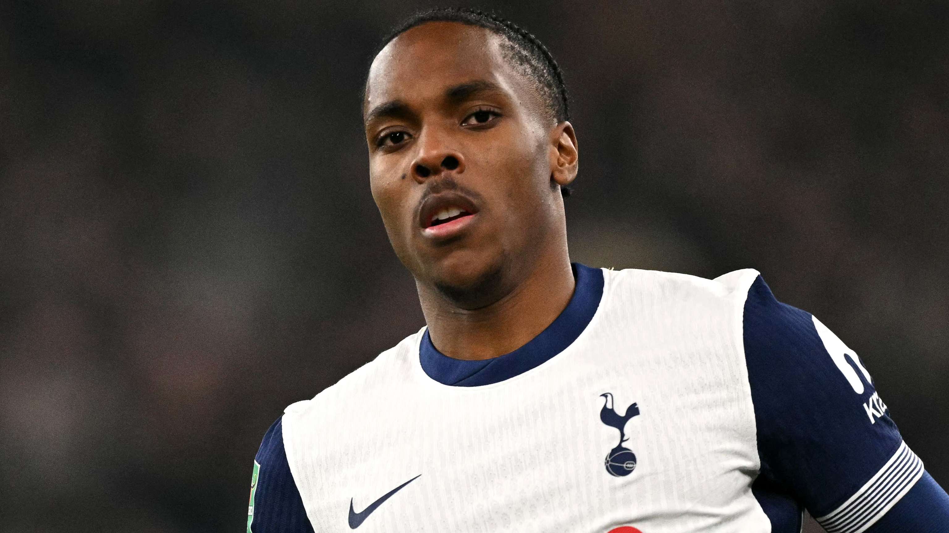 献也无疑是 献也无疑是